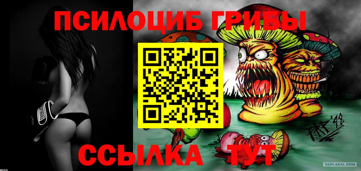 Галлюциногенные грибы MAGIC MUSHROOMS  Вход с VPN  Великий Устюг  Галлюциногенные грибы Psilocybine cubensis 