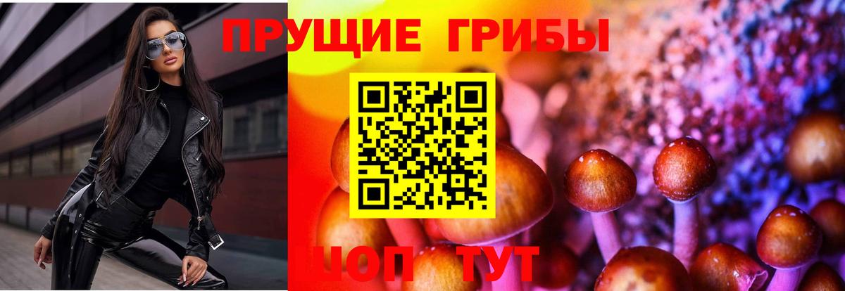 Псилоцибиновые грибы GOLDEN TEACHER Великий Устюг